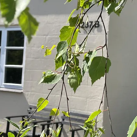 Jonstrupvejens Lejl C Daire Ballerup