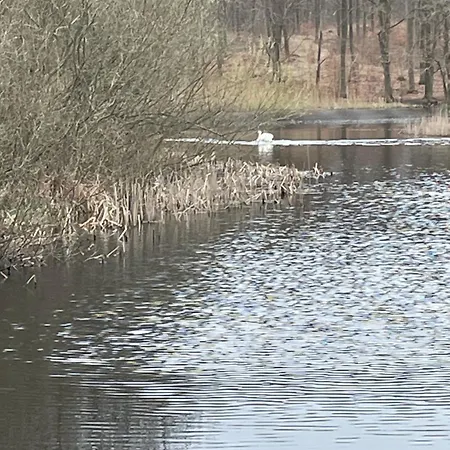 Daire Jonstrupvejens Lejl C *