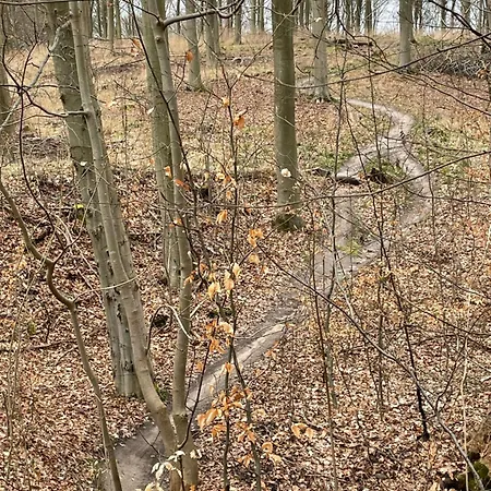 Jonstrupvejens Lejl C