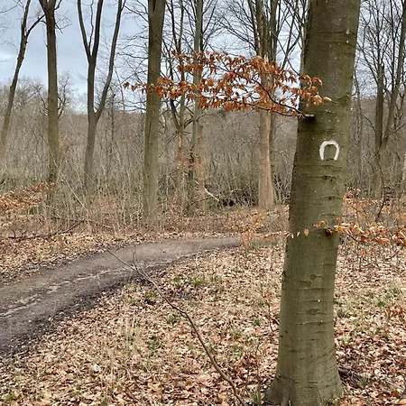 Jonstrupvejens Lejl C * Ballerup