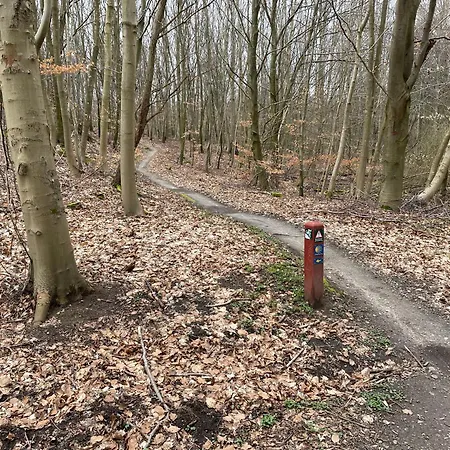 Daire Jonstrupvejens Lejl C *