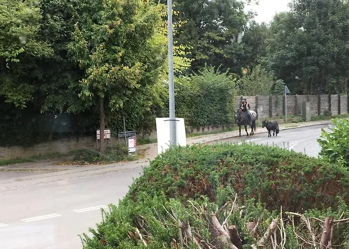 Jonstrupvejens Lejl C Appartamento Ballerup