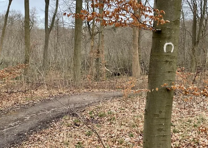 Jonstrupvejens Lejl C * Ballerup